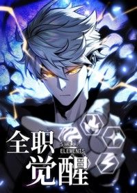 全职觉醒动漫